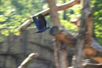 IMG_6146-1.jpg