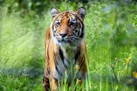IMG_4672-11.jpg