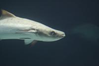 IMG_6469-1.jpg