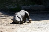 IMG_0931.jpg