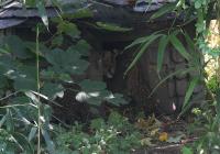 IMG_4175-11.jpg