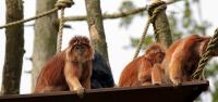 IMG_6818-11.jpg