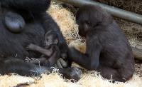 IMG_8115-11.jpg