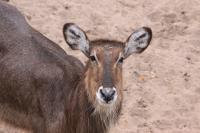IMG_1281-11.jpg