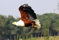 IMG_2080-11.jpg