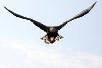 IMG_2248-11.jpg
