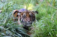 IMG_5568-11.jpg
