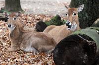 IMG_0881-11.jpg
