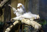 IMG_1927-11.jpg