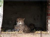 IMG_2271-11.jpg