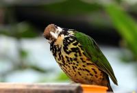 IMG_2304-11.jpg