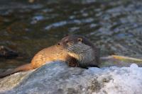 IMG_3124-11.jpg