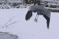 IMG_3763-11.jpg