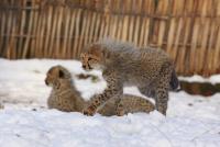 IMG_4488-11.jpg