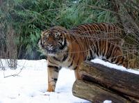 IMG_4547-11.jpg