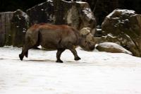 IMG_5452-11.jpg