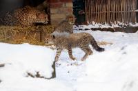 IMG_5698-11.jpg