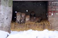 IMG_5841-11.jpg