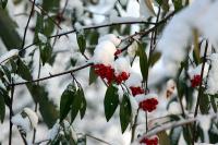 IMG_5909-11.jpg
