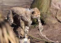 IMG_0069-11.jpg