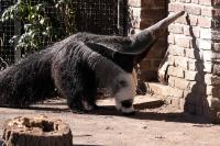 IMG_0366-11.jpg