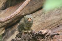 IMG_76531.jpg