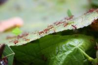 IMG_78031.jpg