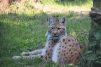 IMG_2858-11.jpg