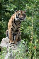 IMG_3604-11.jpg
