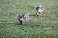 IMG_3684-11.jpg