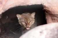 IMG_4570-11.jpg