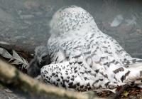 IMG_7947-11.jpg