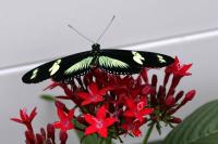 IMG_8692-11.jpg