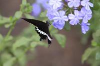 IMG_9599-11.jpg