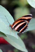 IMG_9630-11.jpg