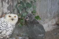 IMG_0827-11.jpg