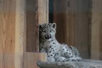 IMG_1580-11.jpg