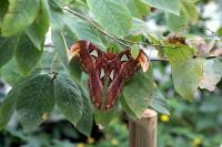 IMG_2702-11.jpg