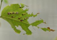 IMG_4876-11.jpg