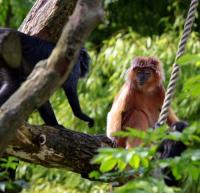 IMG_7195-11.jpg
