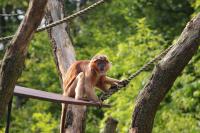 IMG_7231-11.jpg