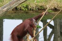 IMG_7255-11.jpg