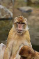 IMG_7402-11.jpg