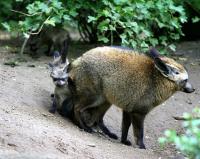 IMG_7200.jpg