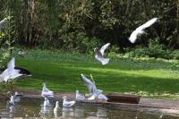 IMG_78481.jpg