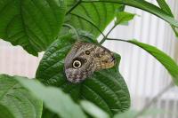 IMG_0147-11.jpg