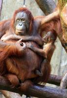 IMG_2601-11.jpg
