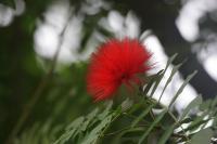 IMG_5130-11.jpg
