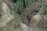 IMG_7707-11.jpg