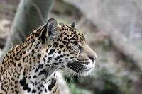 IMG_7766-11.jpg